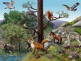 /album/fotogaleria/ecosistema-terrestre-jpg/